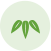 竹