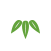 竹